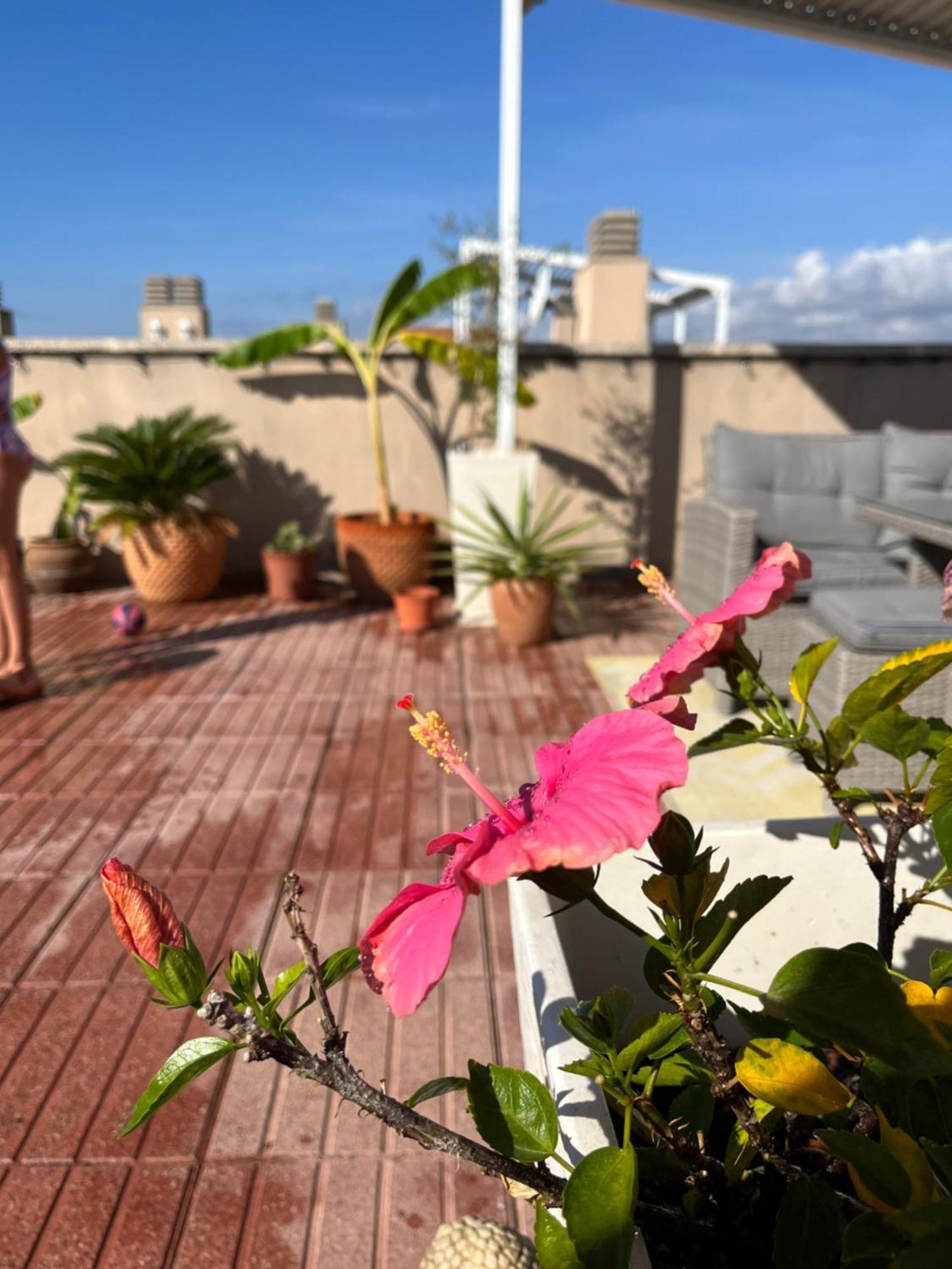 La Azotea Apartment Cambrils Bagian luar foto